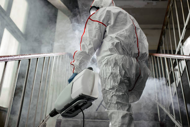 Why You Should Choose Our Mold Remediation Services in Venetian Village, IL